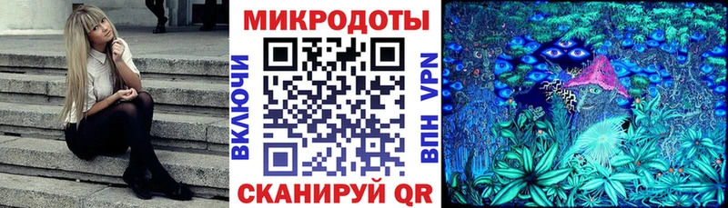 Псилоцибиновые грибы Psilocybe  закладка  Барыш 